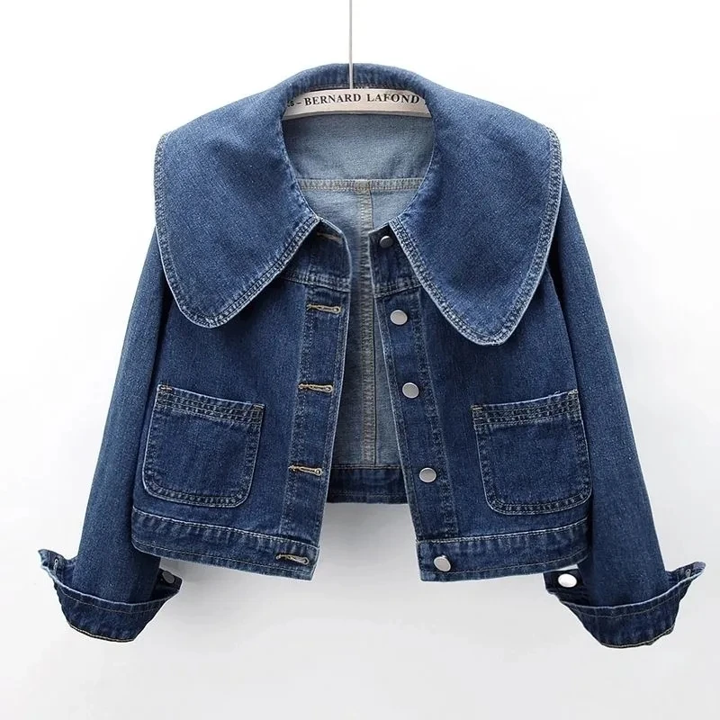 2024 Yeni Sonbahar Kadın Denim - Down Jacket Packable incelemesi ve fiyatı