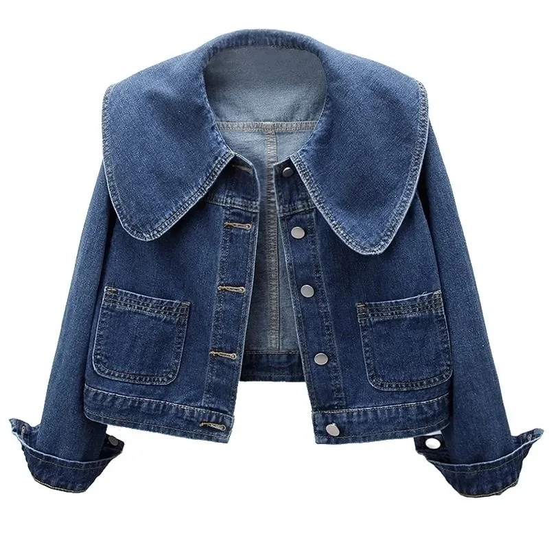 2024 Yeni Sonbahar Kadın Denim - Down Jacket Packable incelemesi ve fiyatı
